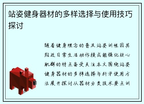 站姿健身器材的多样选择与使用技巧探讨